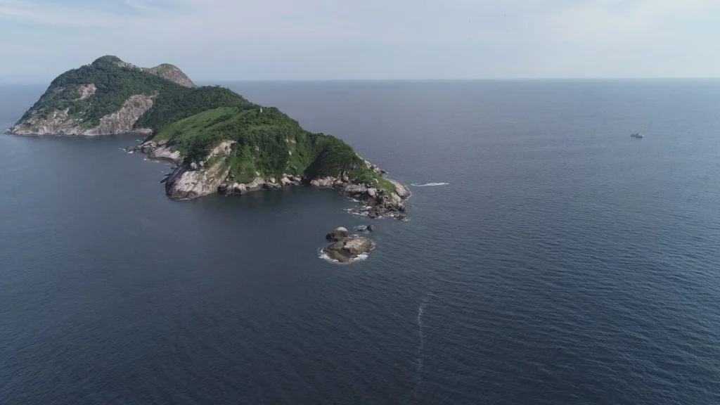 ilha das cobras marinha
