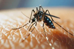 15a Regional tem três mortes confirmadas por dengue e uma em investigação