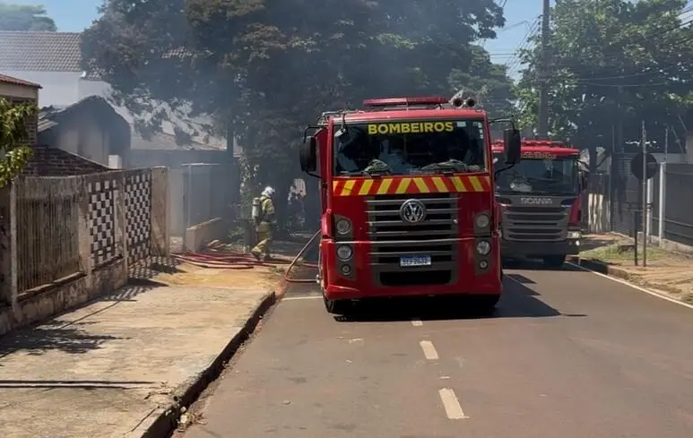 Cães morrem carbonizados em incêndio em Sarandi; Com vídeo Foto 1 image