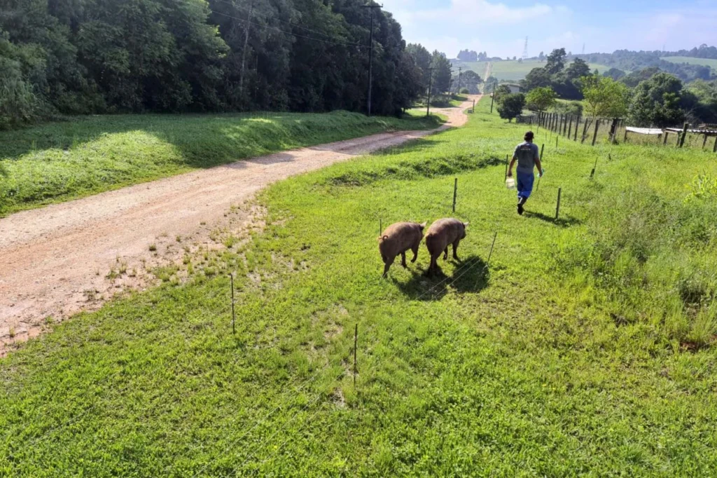 whatsapp_image_2025-03-25_at_13.42.05