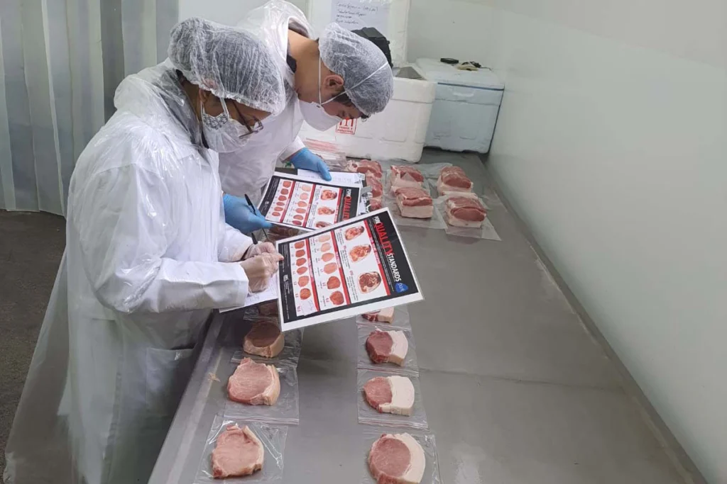 whatsapp_image_2025-03-25_at_13.42.06_2