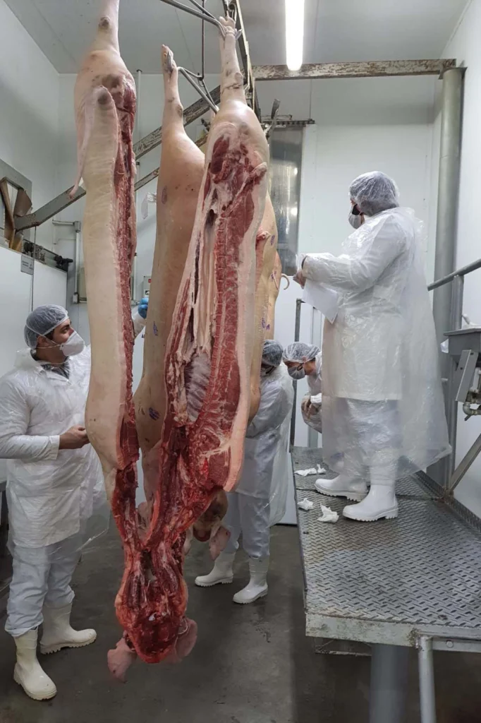 whatsapp_image_2025-03-25_at_13.42.07