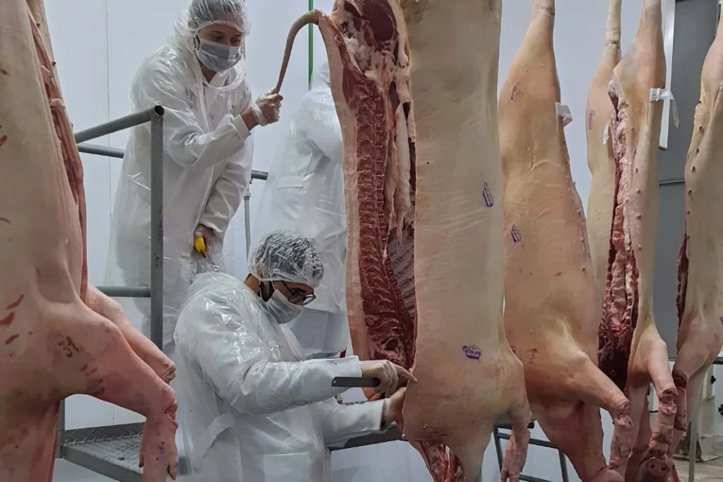 whatsapp_image_2025-03-25_at_13.42.07_1