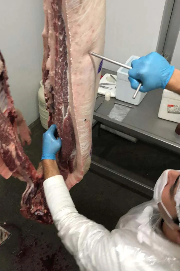 whatsapp_image_2025-03-25_at_13.42.09_0