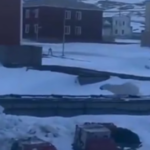 Captura de tela 2025-04-30 104119