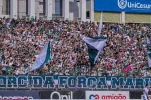torcida organizada força maringaense maringá fc