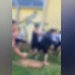 briga alunos