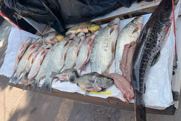 dupla-e-presa-e-multada-em-quase-r-5-mil-por-pesca-ilegal-em-monte-castelo-6808e1303b972