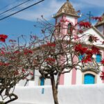 lavras novas