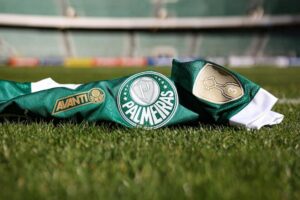 palmeiras_1745525700_3618054638139709800_288523451