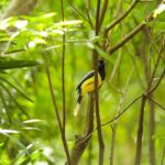 31c67813-019d-4480-9bf7-e4aa98e577cd