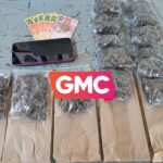 Acompanhe o GMC Online no Instagram Clique aqui e receba as nossas notícias pelo WhatsApp (3)