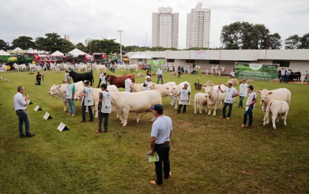 Imagem do WhatsApp de 2025-05-09 à(s) 09.04.07_5ebae40d