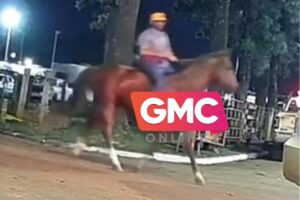 Vídeo árvore cai e atinge caminhonete em movimento no centro de Maringá (8)
