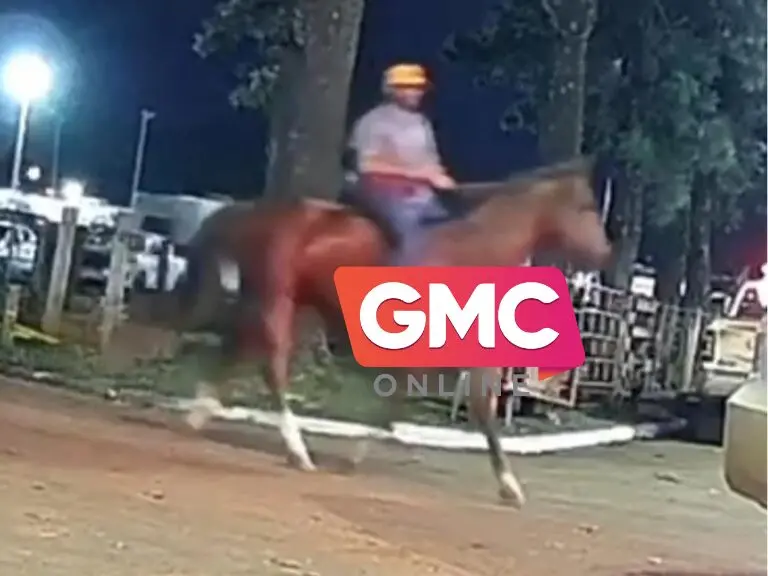 Vídeo árvore cai e atinge caminhonete em movimento no centro de Maringá (8)