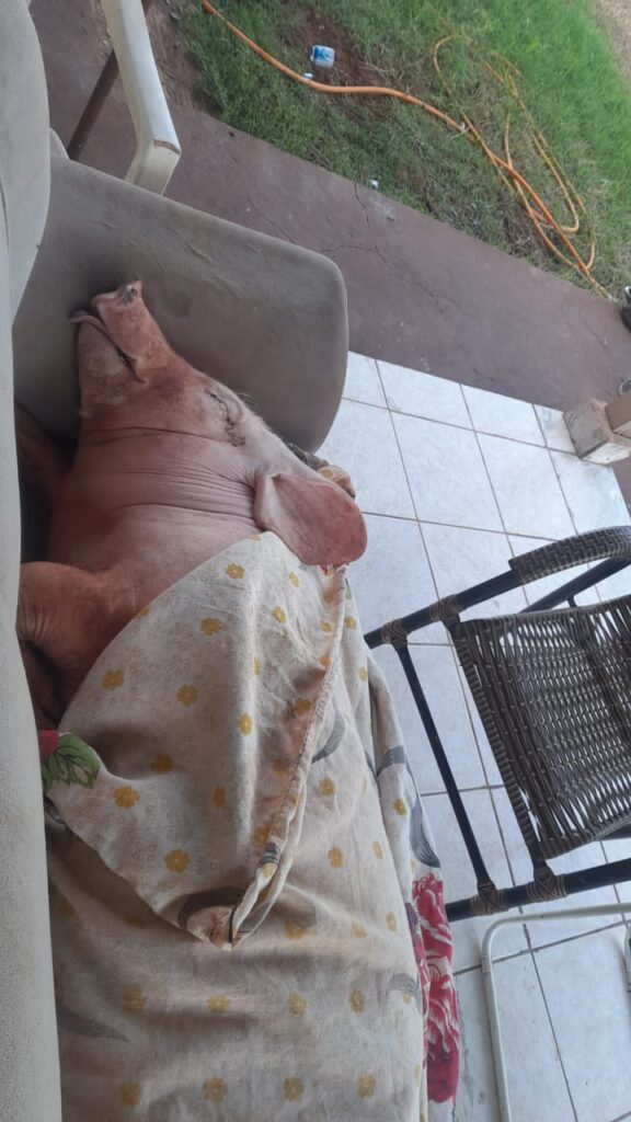 WhatsApp Image 2025-05-02 at 14.17.01 (1)