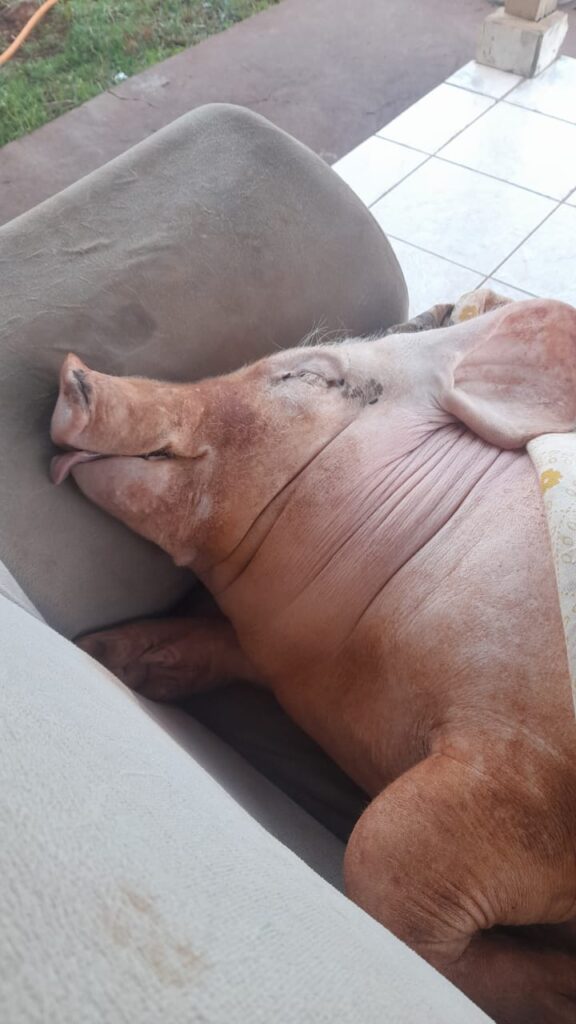 WhatsApp Image 2025-05-02 at 14.17.01