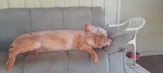 WhatsApp Image 2025-05-02 at 18.47.15