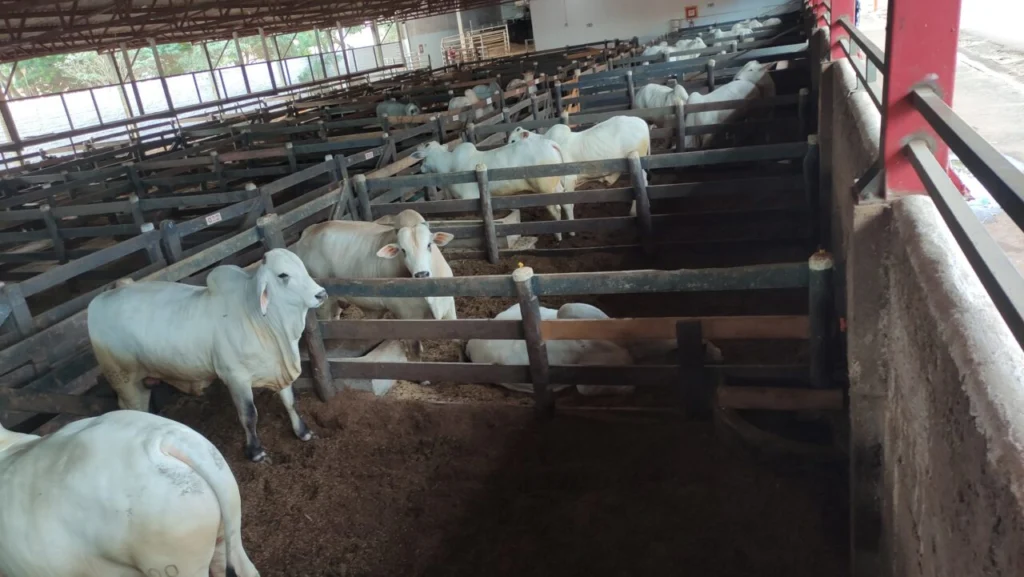 WhatsApp Image 2025-05-13 at 22.06.42