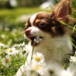 WhatsApp Image 2025-05-18 at 10.50.46