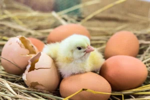 adobestock_70506270_widexl
