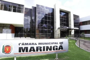 camarademaringa