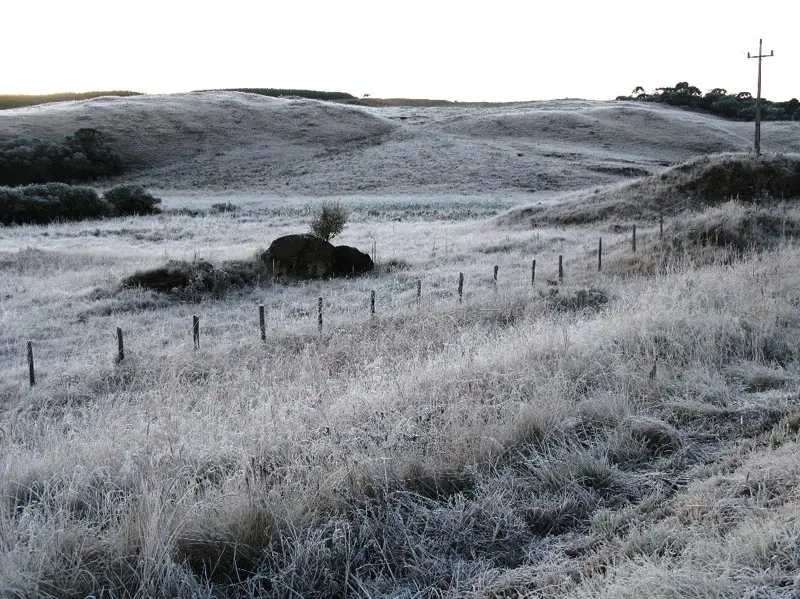 frio-palmas