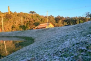 frio.jpg