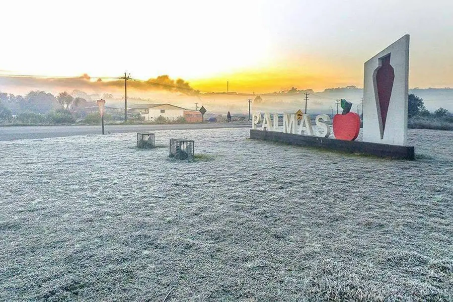 frio_de_palmas