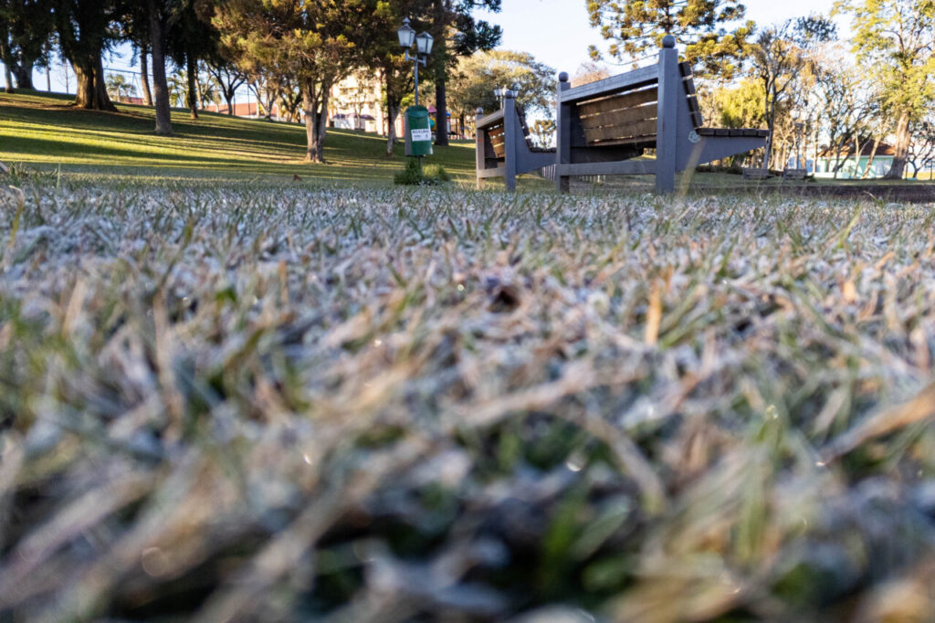 Guarapuava, 26 de agosto de 2024 – Geada em Guarapuava.