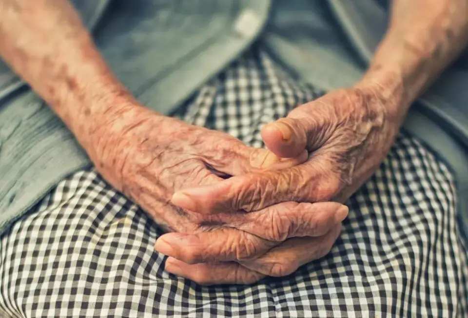 Neta finge ser funcionária de banco e aplica golpe de quase R$ 200 mil contra avô de 87 anos no Paraná Foto 1 image