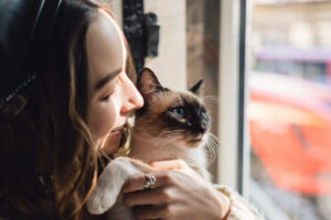 Portrait woman with Siamese cats