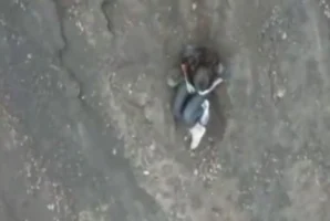 Capturar
