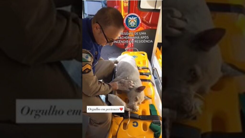 Design sem nome – 2025-06-03T111236.026