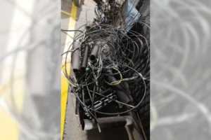 Vídeo árvore cai e atinge caminhonete em movimento no centro de Maringá (7)