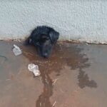 WhatsApp Image 2025-06-02 at 15.39.31