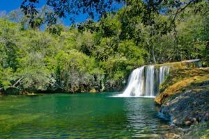 WhatsApp Image 2025-06-13 at 10.55.50