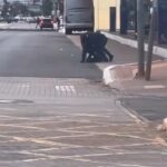 WhatsApp Image 2025-06-29 at 16.29.46