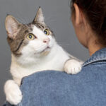 alto-angulo-mulher-segura-gato (1)