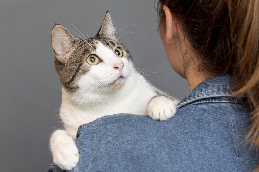 alto-angulo-mulher-segura-gato (1)