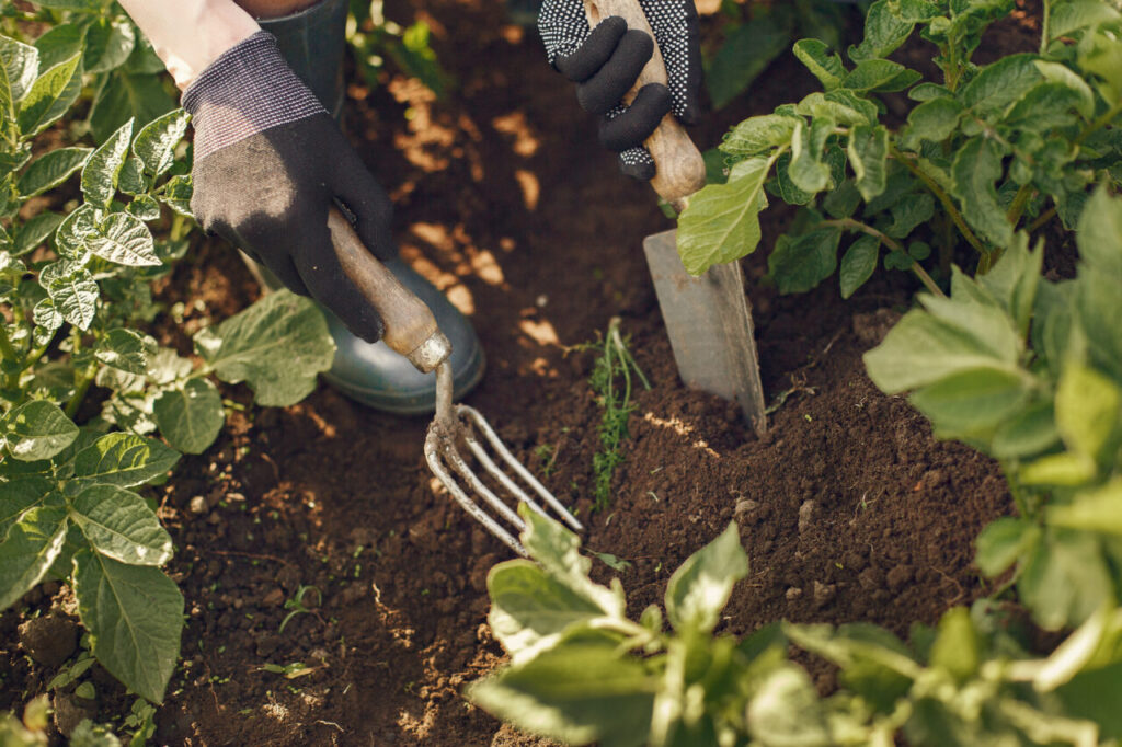 Woman in a hat working in a garden