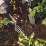 Woman in a hat working in a garden