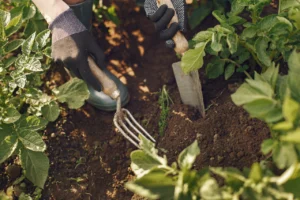 Woman in a hat working in a garden