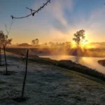 whatsapp_image_2025-05-30_at_11 (1)