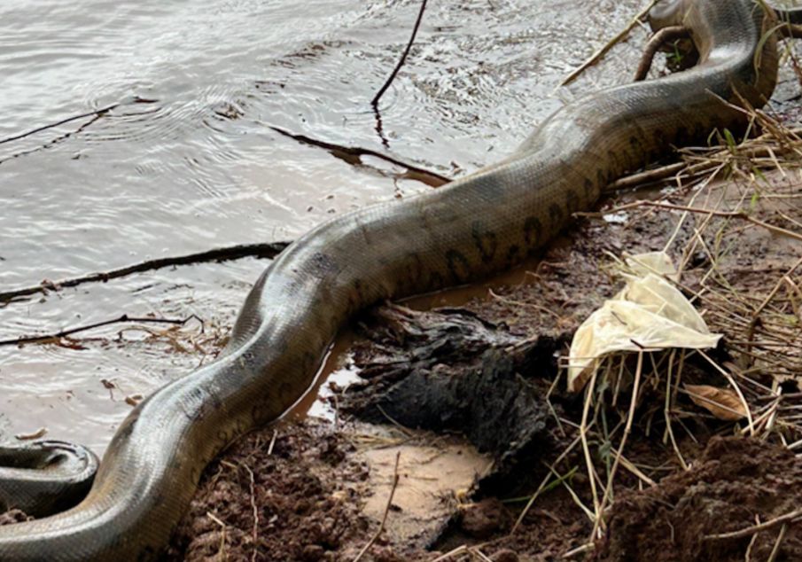 962b286d-0e62-4590-8192-327c06cd37fe