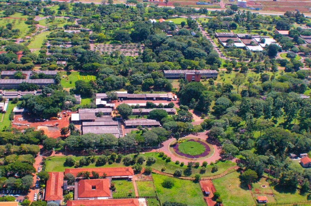 Imagem do WhatsApp de 2025-07-14 à(s) 09.52.31_63c66cbf