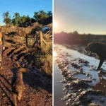 O-1-sargento-Alex-Sandro-Teixeira-Brum-de-47-anos–01009436-0-202507291704-ScaleDownProportional