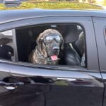 WhatsApp Image 2025-07-04 at 15.59.04