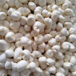Queijarias de ouro: melhor queijo do Paraná é da região