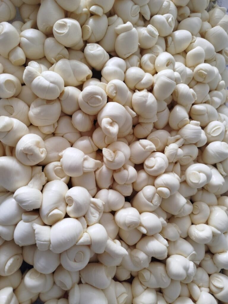 WhatsApp Image 2025-07-17 at 21.57.59